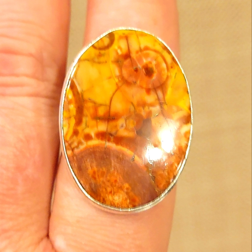 Birds Eye Jasper Gemstone Ring 8.5